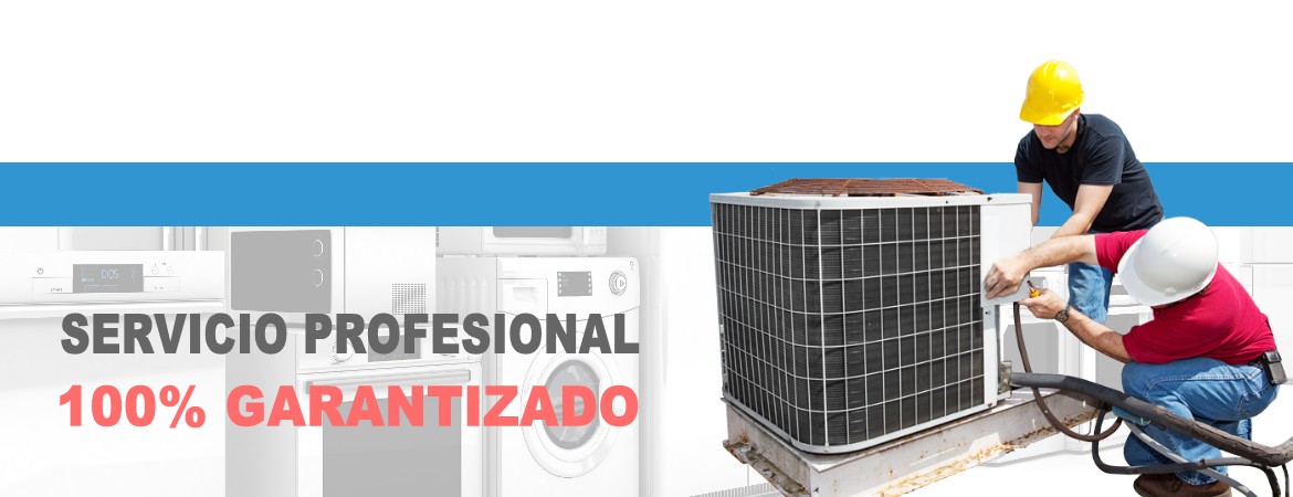 Asistencia Técnica Daitsu en Alameda de la Sagra